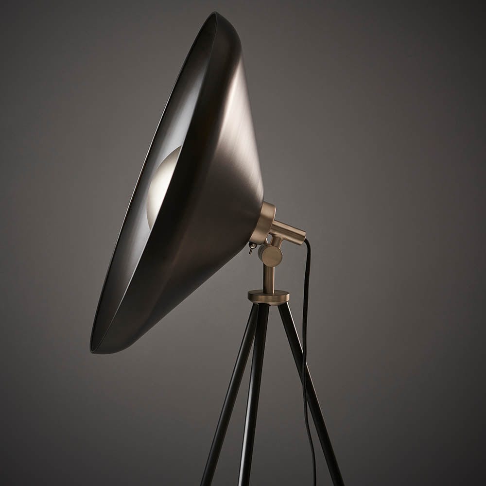 Dione Black Floor Lamp