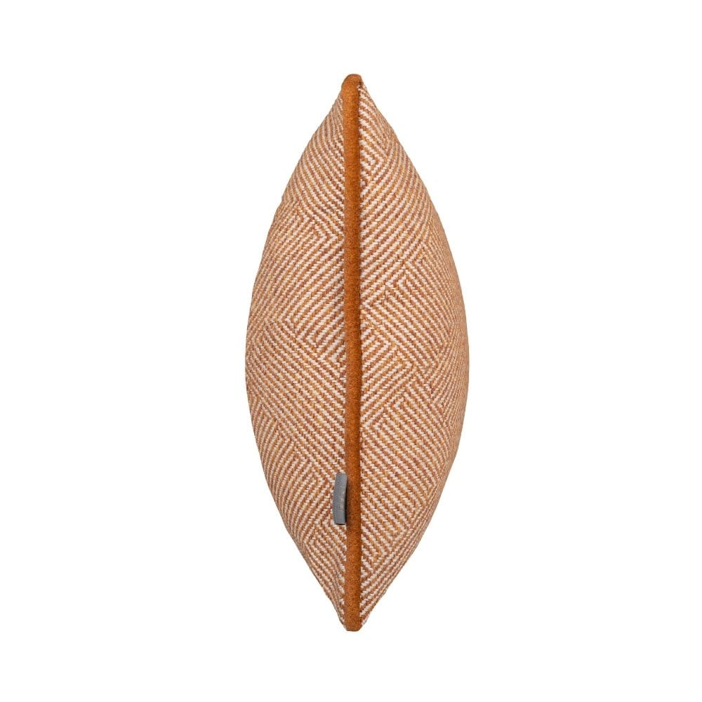 Finnegan Copper Cushion