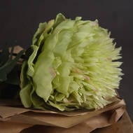 Green Peony Flower