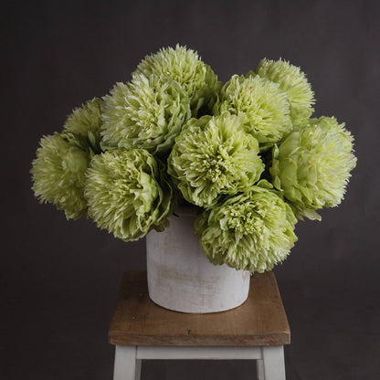 Green Peony Flower