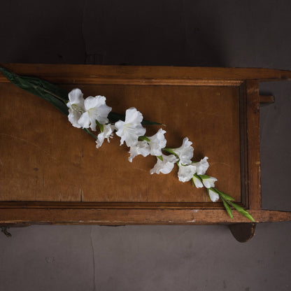 White Gladioli Flower Bundle