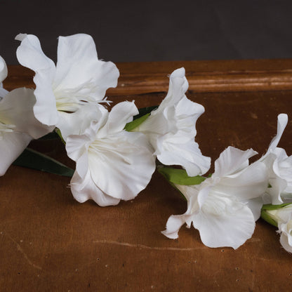 White Gladioli Flower Bundle