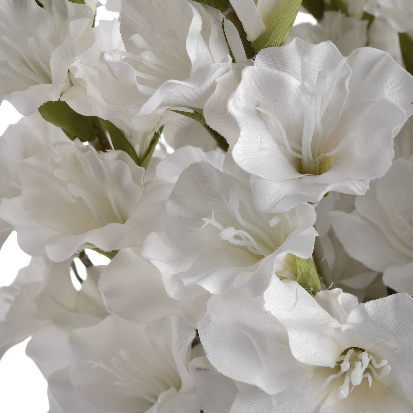 White Gladioli Flower Bundle