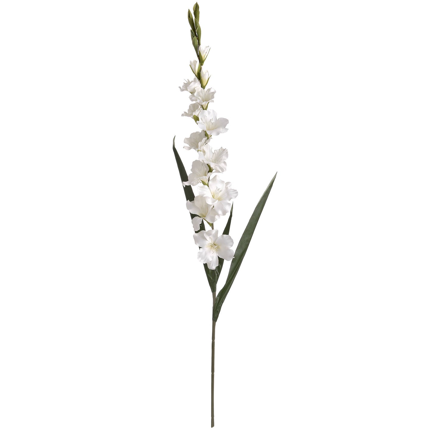 White Gladioli Flower Bundle