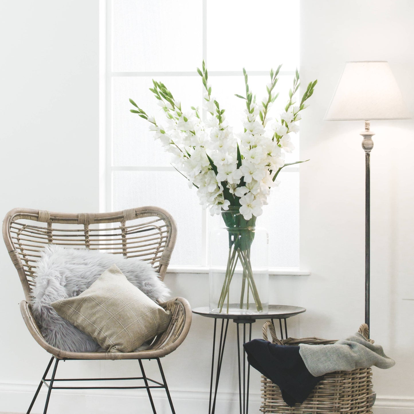 White Gladioli Flower Bundle