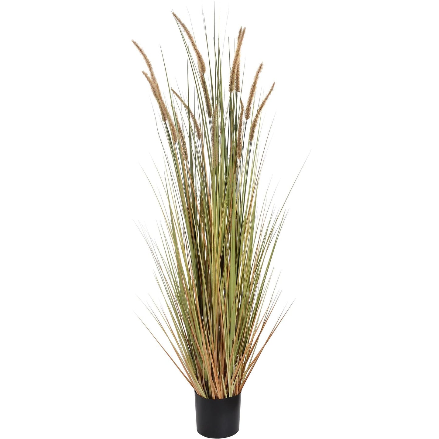 Field Grass Pot Plant