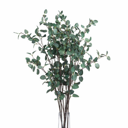 Tall Eucalyptus Stem Bundle