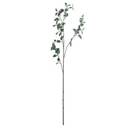 Tall Eucalyptus Stem Bundle