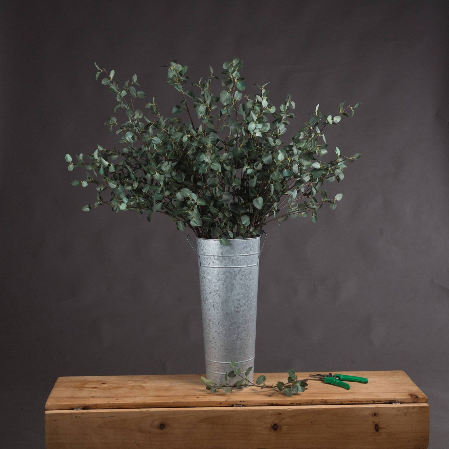 Tall Eucalyptus Stem Bundle