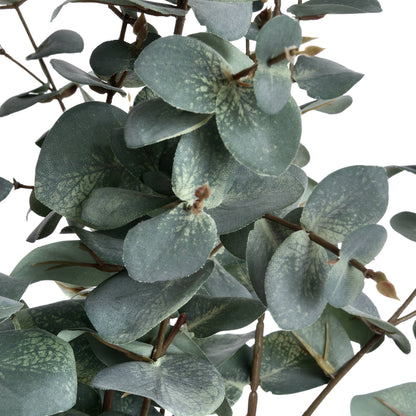 Variegated Eucalyptus Stem Bundle