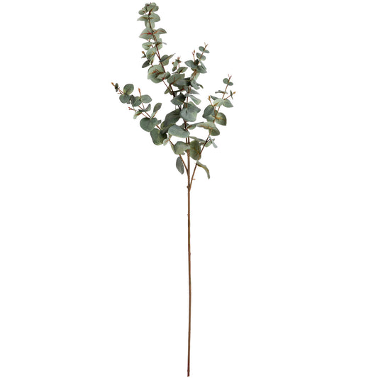 Variegated Eucalyptus Stem Bundle