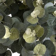 Eucalyptus Spray Stem Bundle