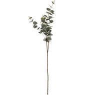 Eucalyptus Spray Stem Bundle