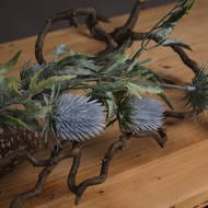 Eryngium Blue Thistle Flower