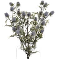 Eryngium Blue Thistle Flower