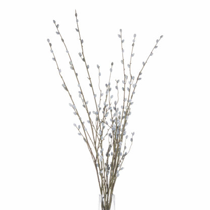 Pussy Willow Branch Bundle