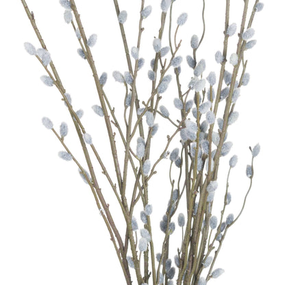 Pussy Willow Branch Bundle