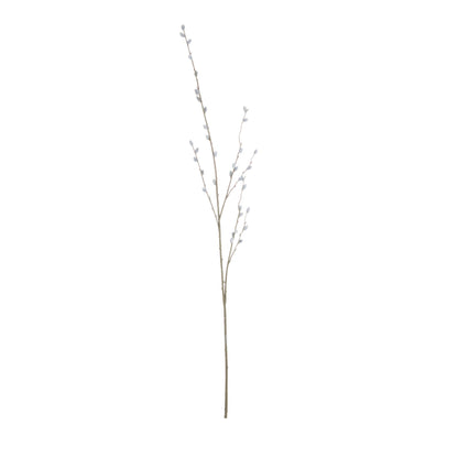 Pussy Willow Branch Bundle