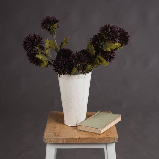 Chocolate Chrysanthemum Flower