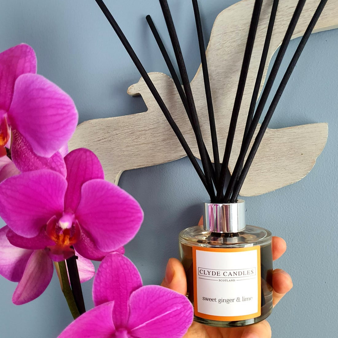 Clyde Candleless diffuser with reeds and a label held in front of pink orchids against a light blue background