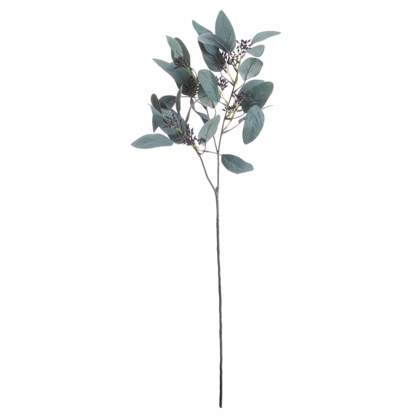 Seeded Eucalyptus Stem Bundle