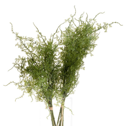 Asparagus Fern Bunch Bundle