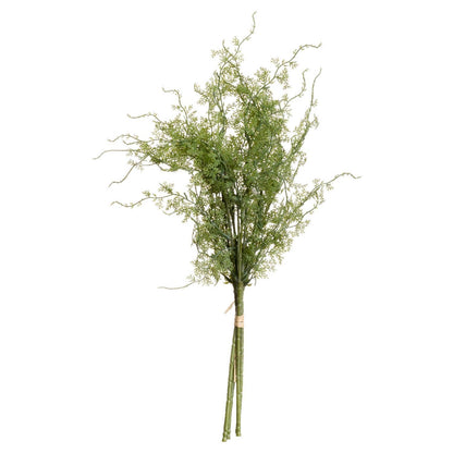 Asparagus Fern Bunch Bundle