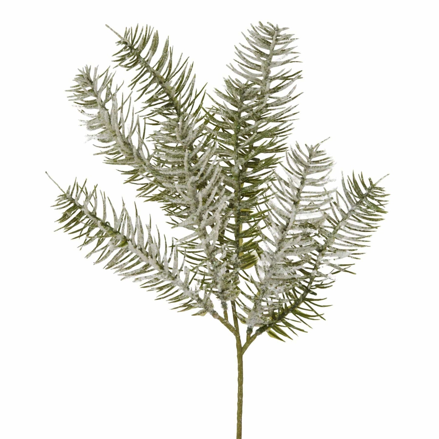 Snow Pine Spray Stem Bundle