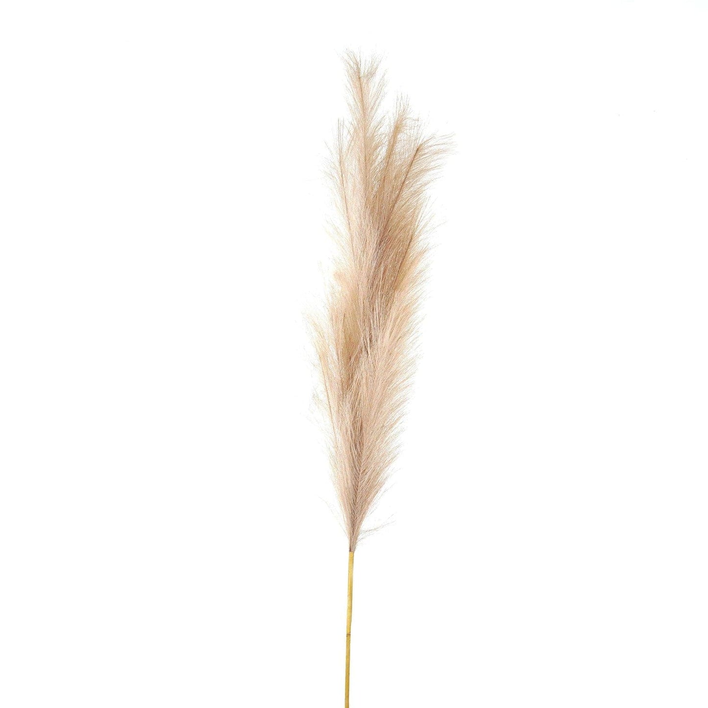 Bleached Large Faux Pampas Grass Stem (Set of 3)