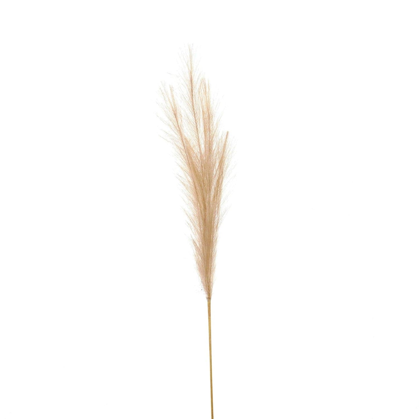 Bleached Faux Pampas Grass Stem Bundle