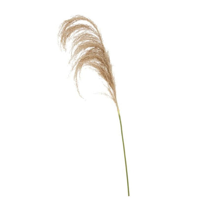 Fiori Stem Pampas Grass (Set of 3)