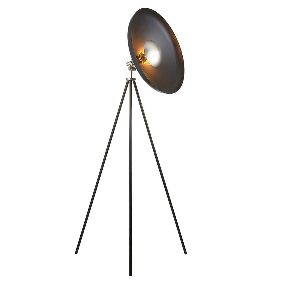 Dione Black Floor Lamp