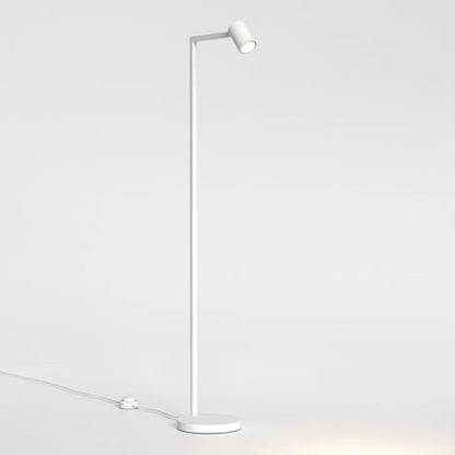 Ascoli Floor 1 Light Floor Lamp with Choice of Finish