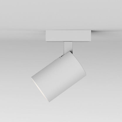 Ascoli Wall/Ceiling Light