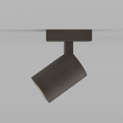 Ascoli Wall/Ceiling Light