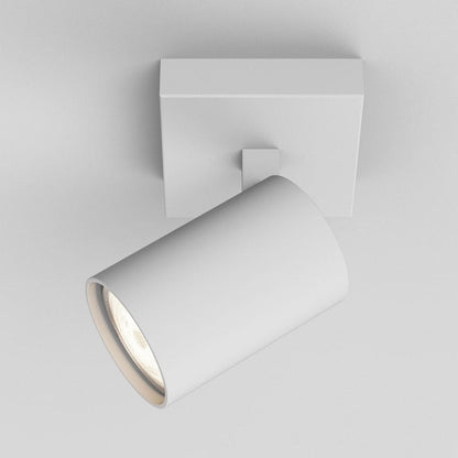 Ascoli Wall/Ceiling Light