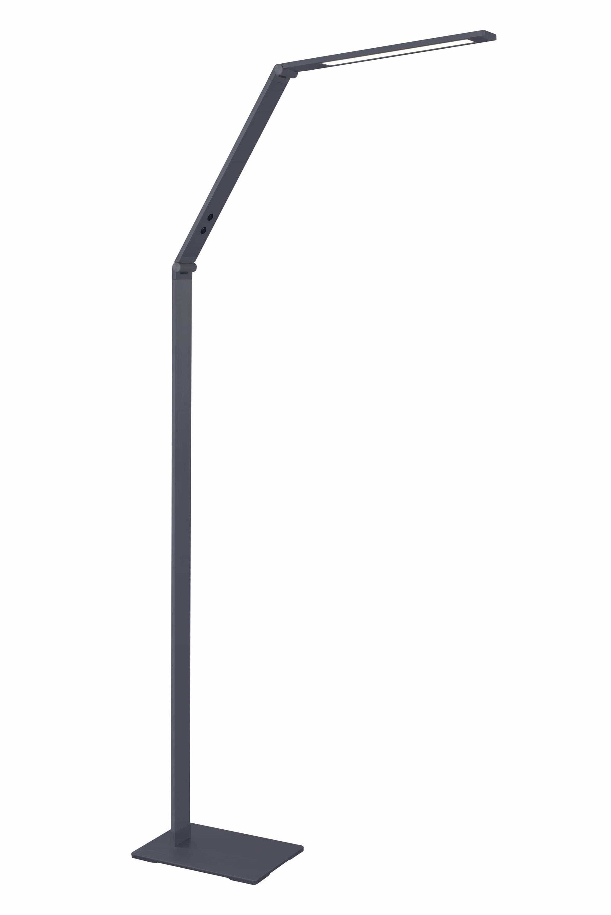 Function LED Floor Lamp Brushed Graphite