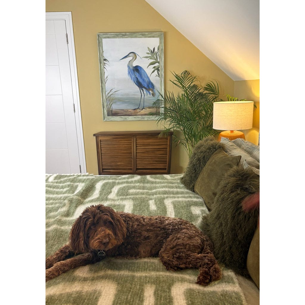 Dog lying on a bed with a painting of a blue heron on the wall in the background.