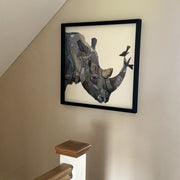 Rhino Collage Picture