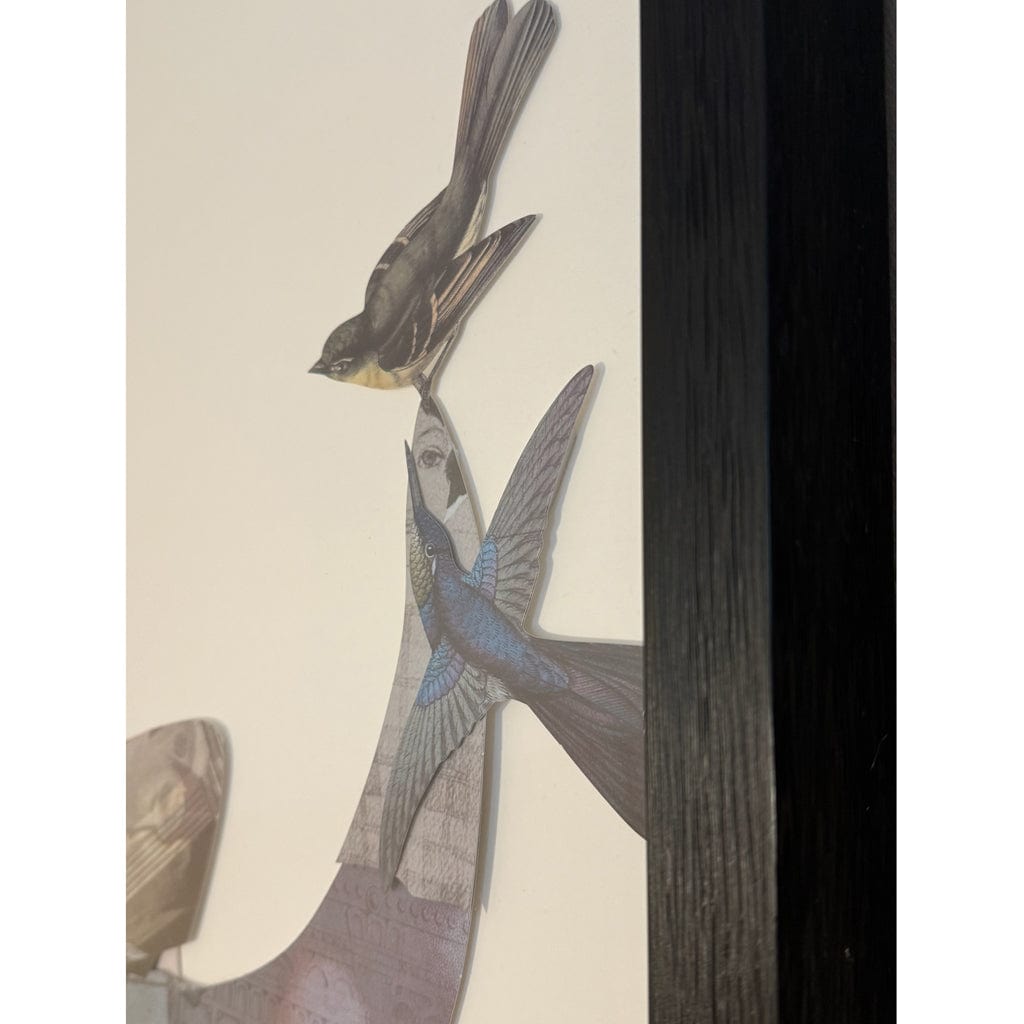 Rhino Collage Picture