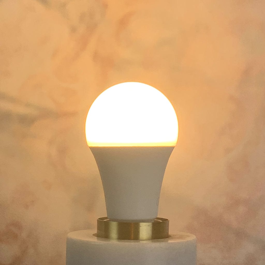 E27 Opal GLS 13.4W Dimmable High Output LED