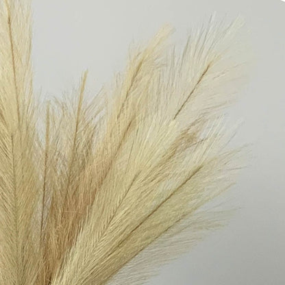 Faux Pampas Grass Stem Bundle