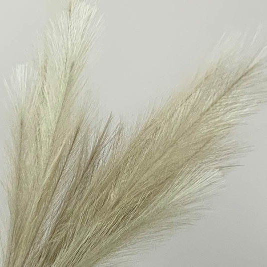 Bleached Faux Pampas Grass Stem Bundle