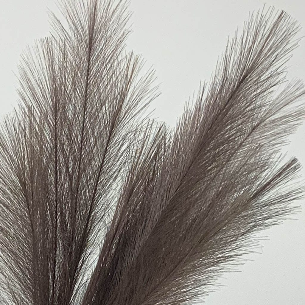 Taupe Faux Pampas Grass Stem (Set of 3)