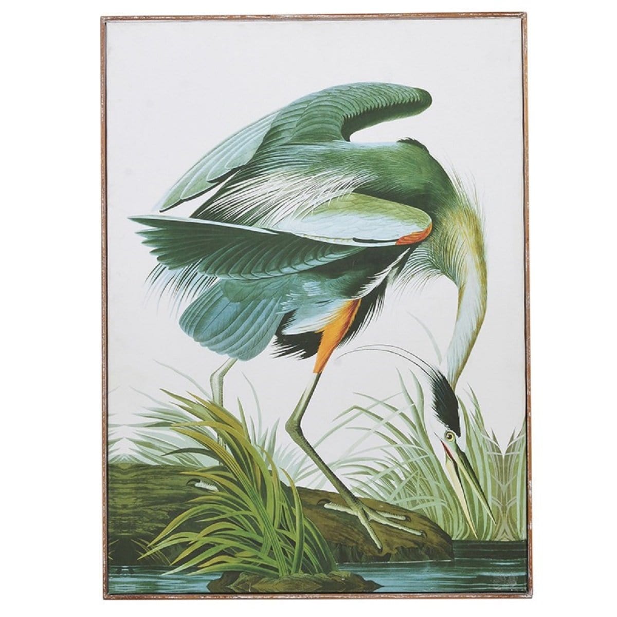 Green Tropical Crane Picture