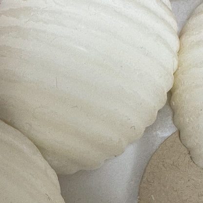 Set of 6 Bergamot Patchouli & Moss Luxury Wax Melts